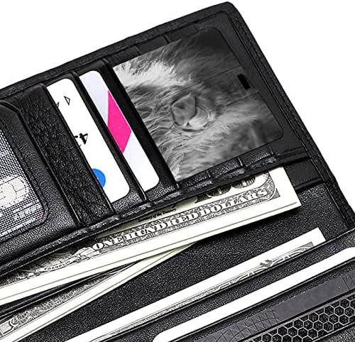 Crno bijela Highland krava kreditna kartica USB flash Personalizirana memorijska memorija Stick Storage Drive 64G
