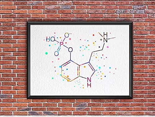 Dignevel Studios 8x10 Unframed Psilocybin Molecule Chemistry Magic Gljive Nerd Science Biology Medical Art akvarel Art Print