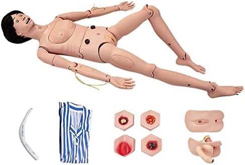 170cm Veličina života Manikin Anatomski model Manikin Manikin Anatomski model simulator muškog i ženskog sestrinstva Anatomski
