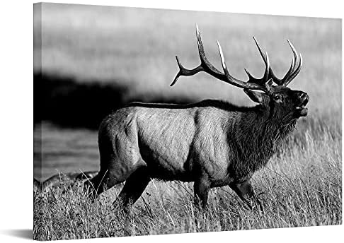 Conipit crno bijeli bik elk platno zidna umjetnost životinjska slika uokvirena 24x36 inča jelena umjetnička djela slika za