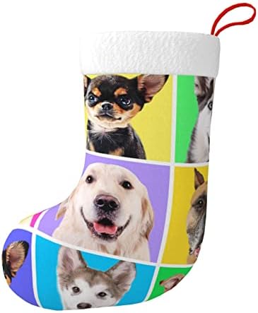Augestern božićne čarape Slatki psi šareni dvostrani kamin viseće čarape