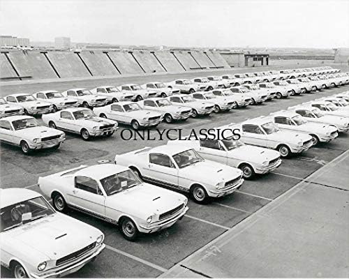 Samo Classics 1965 Lot puni Ford Mustang GT 350 automobila 8x10 fotografija koja se isporučuje u Shelby
