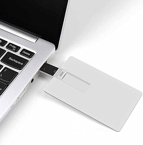 Smiješna kreditna kartica zamorca USB Flash pokreće personalizirani memorijski štap Ključni korporativni pokloni i promotivni