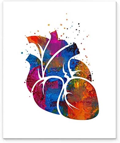 Zidna umjetnost za medicinsku anatomiju ljudskog srca, 11x14 inča spremna za okvir sažetka akvarelnog tiska, idealno za kardiologe,