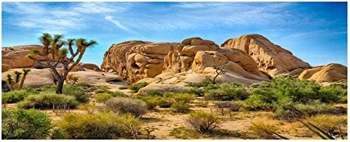 36,14 inča Nacionalni park Joshua tri Poliesterska pozadina za fotografiranje zapadnog neba pustinjski kauboj stijena otporna