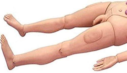 Tuozhe simulator skrbi za njegu muških i ženskih sestrinskih manikina demonstracija humani manikin, ljudski anatomski model