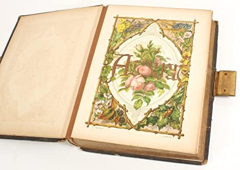 Antique Photo Album 1860 -ih kabine kartice i CDVS w cvjetni motivi