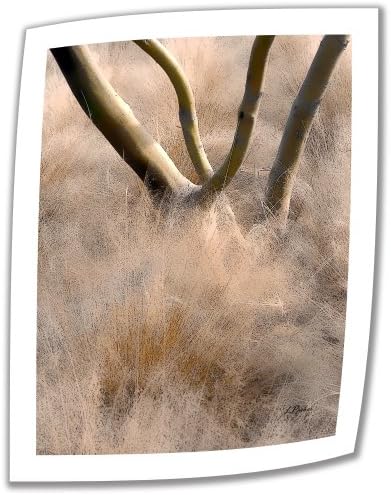 Umjetnički zid pustinjske trave 24 do 18-inčne odmorne platnene umjetnosti Linda Parker s 2-inčnom naglaskom na granici