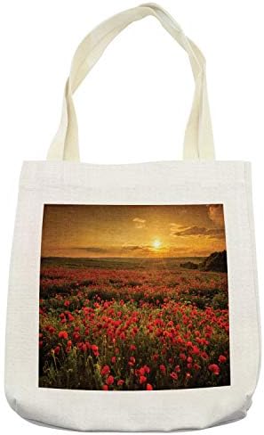 Ambsonne cvjetna torba torba, mak polje na sunčevom sunčevom gredama livada cloudscape divljač scena, platna platna za višekratnu